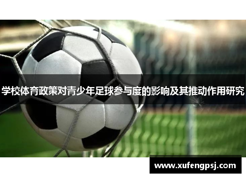 学校体育政策对青少年足球参与度的影响及其推动作用研究