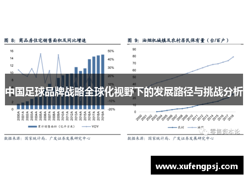 中国足球品牌战略全球化视野下的发展路径与挑战分析