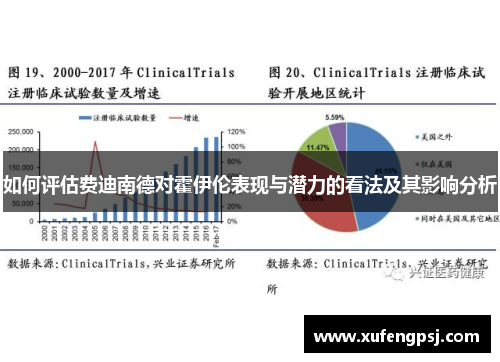如何评估费迪南德对霍伊伦表现与潜力的看法及其影响分析