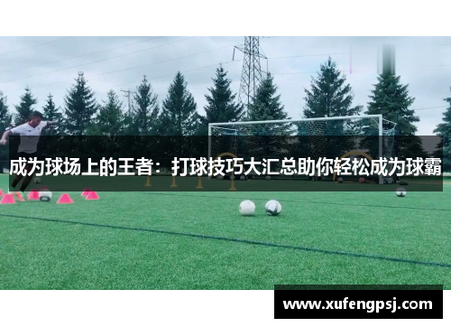 成为球场上的王者：打球技巧大汇总助你轻松成为球霸