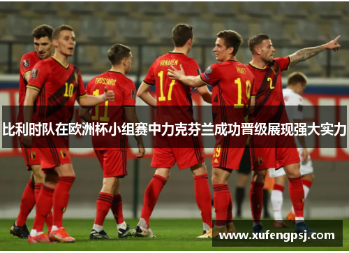 比利时队在欧洲杯小组赛中力克芬兰成功晋级展现强大实力