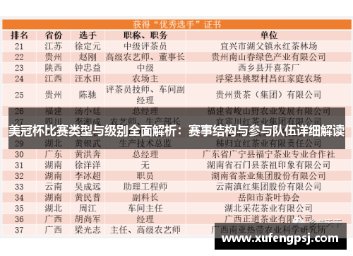 美冠杯比赛类型与级别全面解析：赛事结构与参与队伍详细解读