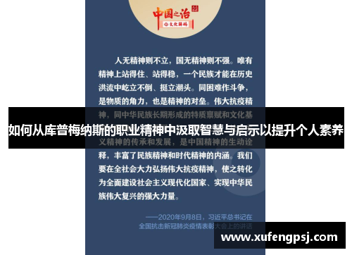 如何从库普梅纳斯的职业精神中汲取智慧与启示以提升个人素养