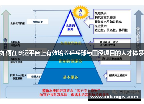 如何在奥运平台上有效培养乒乓球与田径项目的人才体系